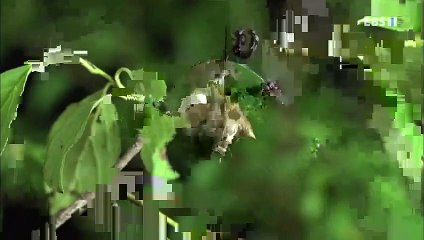 평택시출장안마 -100%미인ョØ1Øv2997b5327{DDR88카톡}평택시전지역출장마사지샵평택시출장go안마ok평택시출장마사지황형БГД출장샵호텔콜걸