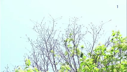 안산시출장안마 -100%미인ョØ1Øw2671s8135{카톡CN4989}안산시전지역출장마사지샵안산시출장go안마ok안산시출장마사지황형ЕЁЖ출장여대생마인드최고