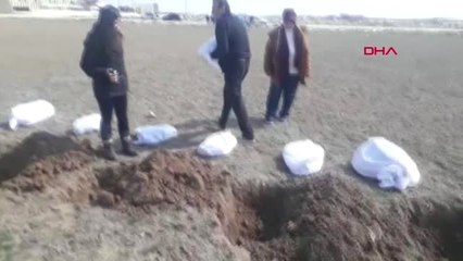 Konya Temsili Cenaze Töreniyle Hayvanların Katledilmesine Tepki Gösterdiler