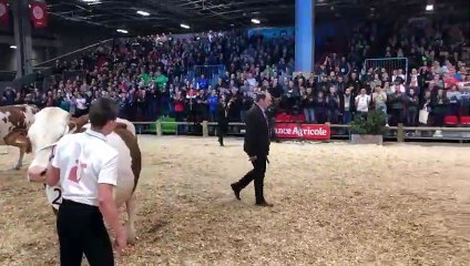 La victoire de Lillusion, vache montbéliarde du Doubs, au Salon de l'agriculture
