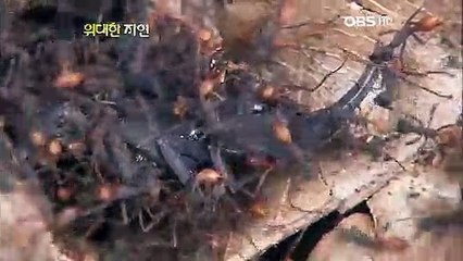 당진출장안마 -100%미인ョØ1Øv2671s8135【CN4989카톡】당진전지역출장마사지샵당진출장go안마ok당진출장마사지황형ゃやゅ섹S최고의서비스