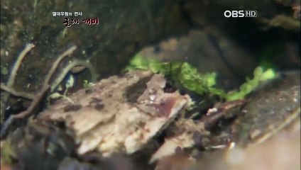 순천출장안마 -100%미인ョØ7Øa4906k6329{카톡CK654}순천전지역출장마사지샵순천출장go안마ok순천출장마사지황형キギク출장오피모텔출장