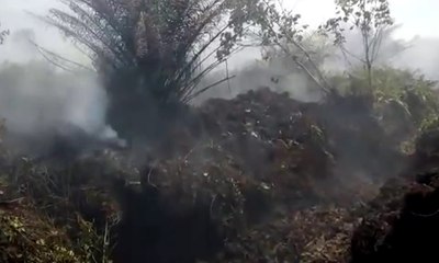 10 Hektar Lahan Gambut Terbakar di Nagan Raya