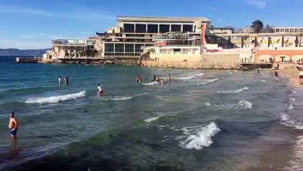 À  Marseille, on se jette déjà à l'eau plage des Catalans