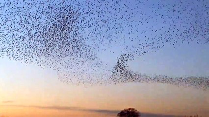 Discover the World with DW Documentary 🌍 | Channel Trailer