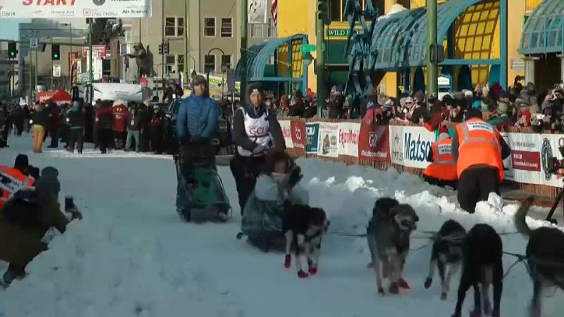 La Course De Chiens De Traîneaux Qui Fait Polémique