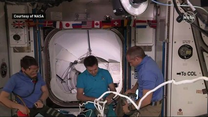 Cheers of joy as SpaceX capsule docks!