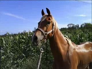 Mon namour all about us