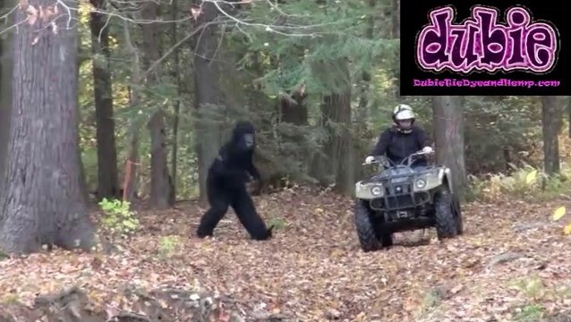 Bigfoot Sighting Amazing Sasquatch Video Up Close ! Seeing is believing !