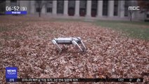[투데이 영상] 공중제비 도는 로봇 '미니 치타'