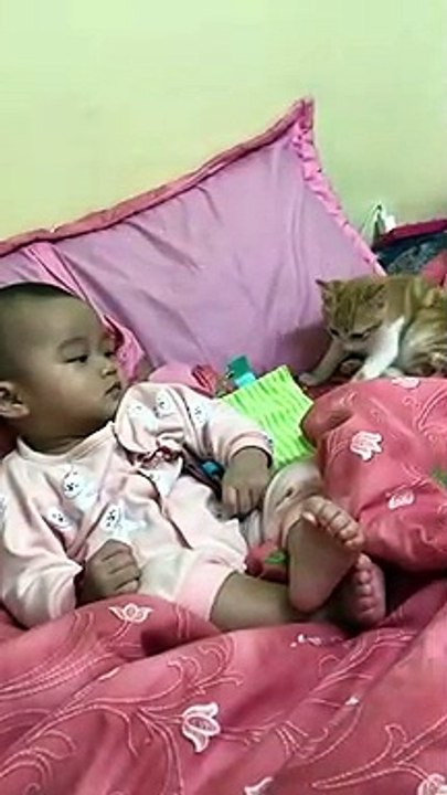 Ce bébé a éternué et a bien effrayé son chaton