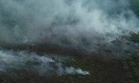 10 Hektar Lahan Gambut di Aceh Terbakar, Pemicu karena Kelalaian Masyarakat