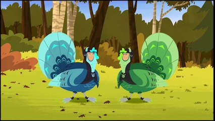 Wild Kratts  Fly Up High with Creature Powers!  Kids Videos