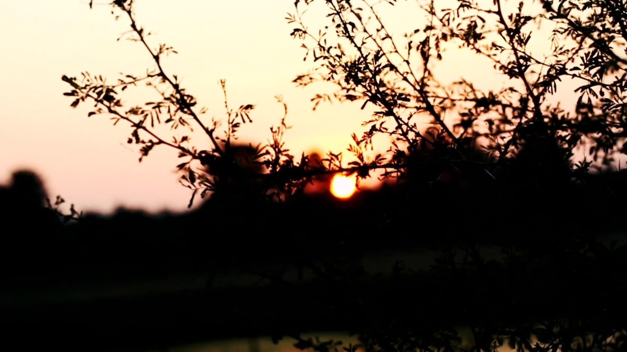 Cinematic video