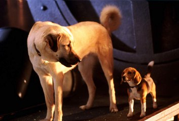 Cats & Dogs Movie (2001)  - Jeff Goldblum, Elizabeth Perkins
