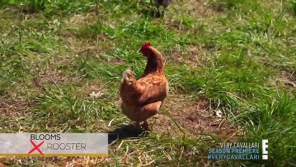 All Jay Cutler Scenes on Very Cavallari (Season 2 Episode 1)