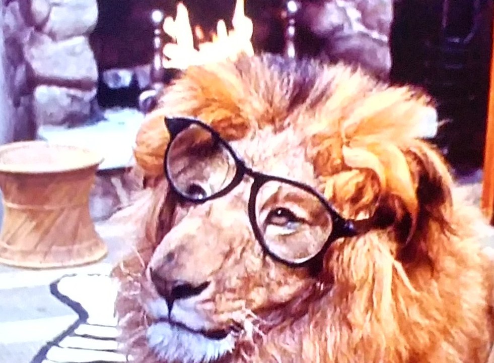 Clarence the Cross-Eyed Lion Movie (1965) Marshall Thompson