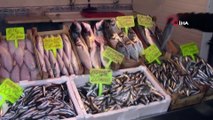 Bursa’da balıkçı ağlarına dev köpek balığı takıldı