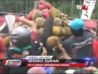 Tradisi Tahunan, Warga Berebut Ribuan Durian