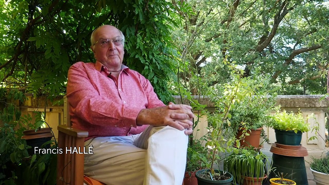 Les Arbres Remarquables, un patrimoine à protéger Bande-annonce VF (2019) Documentaire