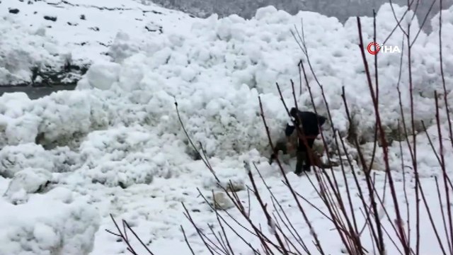 Şırnak’ta çığ düştü, vatandaşlar tehlikeye aldırış etmeden balık topladı