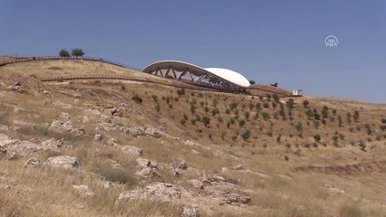 Göbeklitepe'de Erdoğan Sevinci - Şanlıurfa