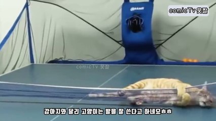 강원도출장샵[Ø1Ø↔6653↔8956]『카톡↔hp89』【예약금NO!】강원도출장안마 강원도출장마사지 -황제 강원도오피 강원도출장전문업소 강원도출장샵=강원도콜걸
