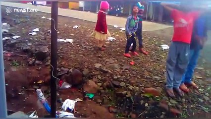 Monster hailstorm kills hundreds of birds in northern India