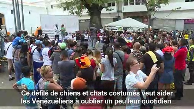 Venezuela: carnaval et concours canin pour oublier la crise