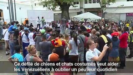 Venezuela: carnaval et concours canin pour oublier la crise