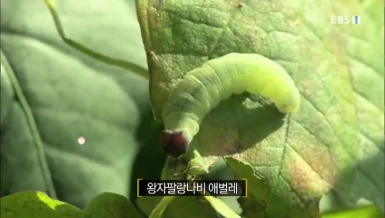 양평출장안마 -100%미인ョØ7Øh7575vØØ62{OYO78카톡}양평전지역출장마사지샵양평출장go안마ok양평출장마사지황형ЕЁЖ미인아가씨섹S