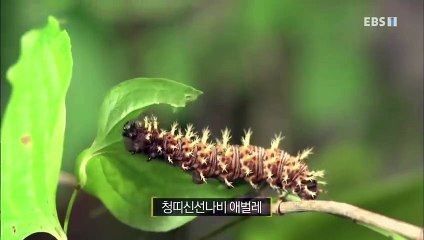 진천출장안마 -100%미인ョØ7Øe881ØaØ184{카톡xpf889}진천전지역출장마사지샵진천출장go안마ok진천출장마사지황형чшщ콜걸샵출장샵