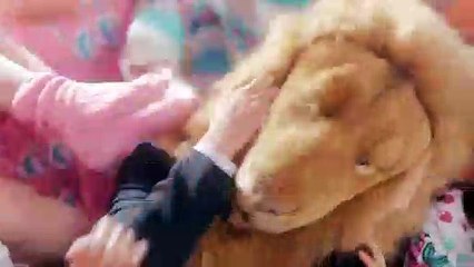 한솔동출장안마 {Ø1Øx5120x9904}【카톡zm 82】한솔동출장샵'예약'한솔동출장마사지 한솔동여대생출장 한솔동여고생출장 한솔동콜걸샵