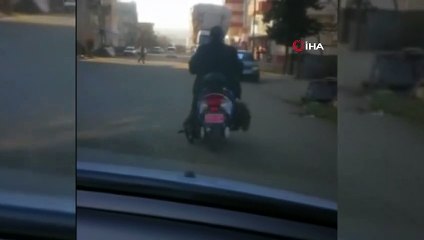 Motosikletiyle taşıdığı koyunun kafasını metrelerce yerde sürükledi... İşkence anları kamerada