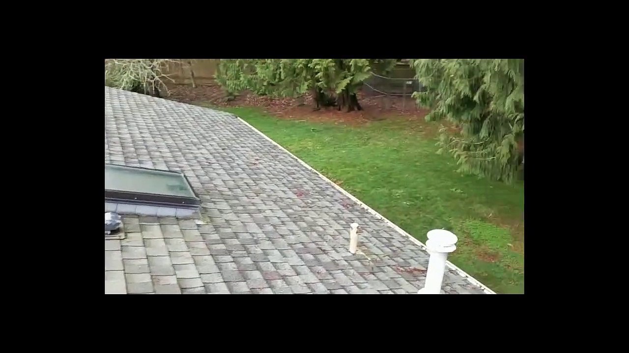 1-Minute Roof Inspection (Vent Cap)