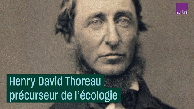 Henry David Thoreau : précurseur de la décroissance