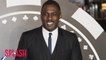 Idris Elba Admits It Was 'Amazing' Working With Taylor Swift On Cats
