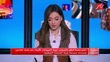 هل يجوز استعادة الحيوانات المفترسة بعد مصادرتها وترخيصها قانونيا؟ المحامي أشرف عبد العزيز يجيب