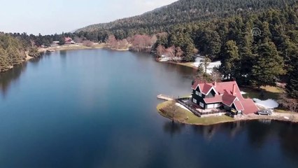 Gölcük'te baharın müjdecisi çiçekler açtı - BOLU