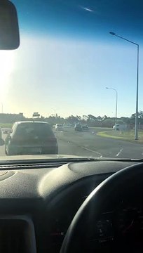 Bull Casually Roams Busy Streets of Auckland