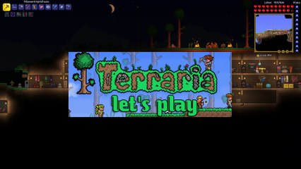 Terraria Let's Play 138: Kleine YouTuber bald ohne Netzwerk?!