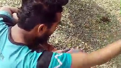 গরু মানুষকে কিভাবে আদর করে দেখুন.