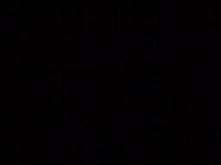 The Animals of Farthing Wood S01E04 False Haven