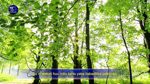 Matamshi ya Kristo wa Siku za Mwisho | “Kumjua Mungu Ndiyo Njia ya Kumcha Mungu na Kuepuka Maovu”