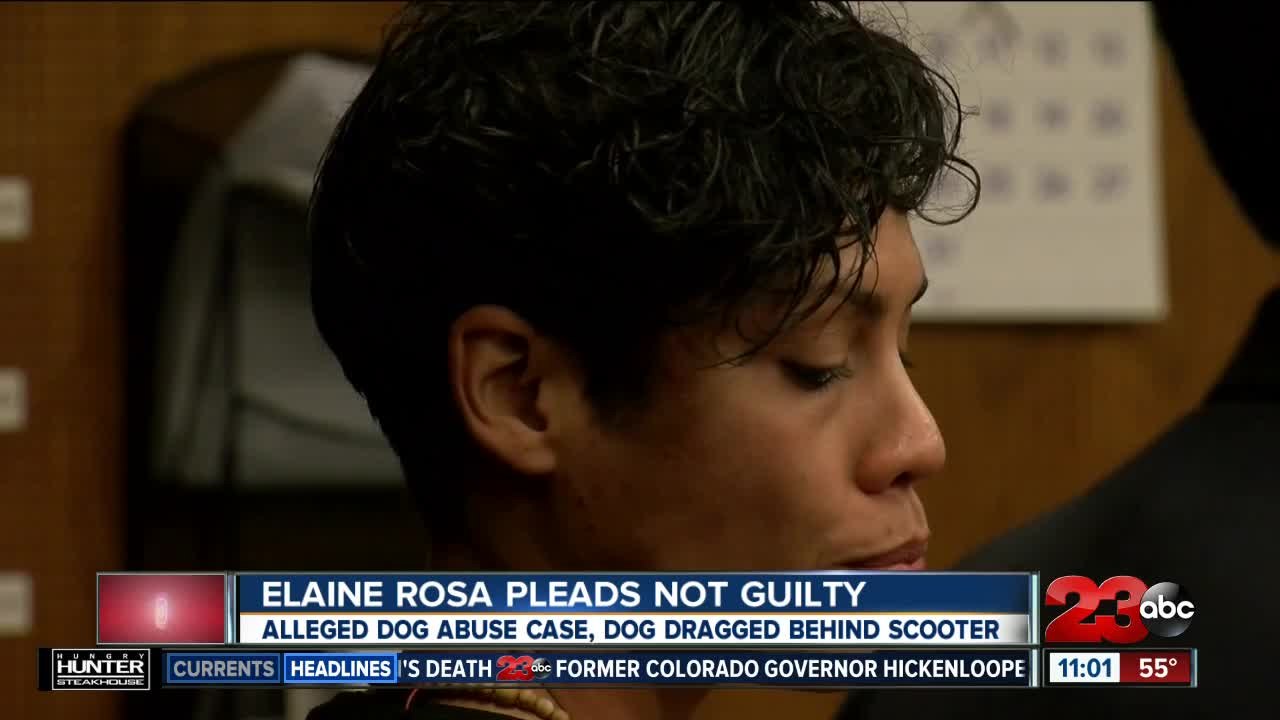 Woman seen in video dragging dog behind scooter pleads not guilty