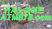 ?실시간바카라사이트 ▷▷ＳＴＫ424닷com◁◁