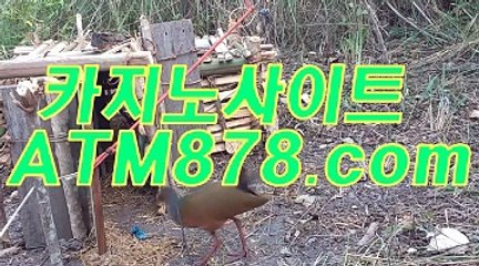 ?실시간바카라사이트 ▷▷ＳＴＫ424닷com◁◁