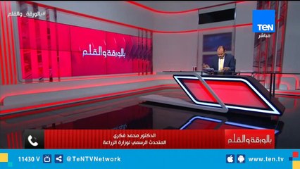 المتحدث الرسمي لـ"الزراعة": الوزراة ليست مسئولة عن مكافحة كلاب الشوراع