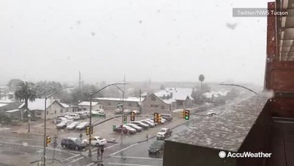 Thick snow falls down on Tucson, Arizona