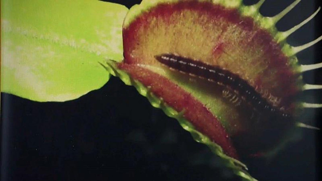 Natur und Mensch, van Gogh und Street Art: Sehenswerte Austellungen in Europa